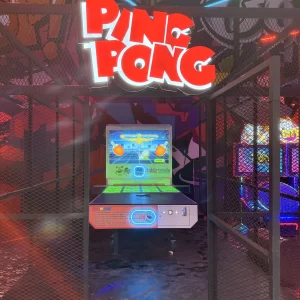 Ping Pong