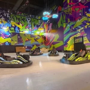 Go Kart - Image 2